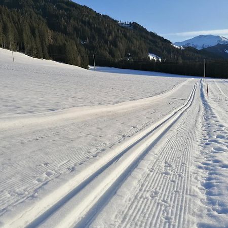 Schoners Einfanghof By Fewo-Planwild006 Нидерау Экстерьер фото